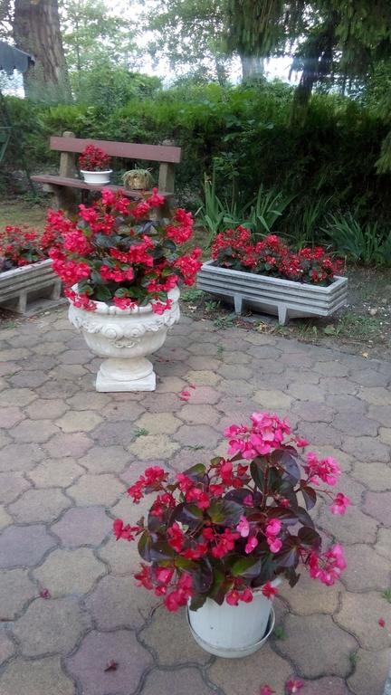 Monika Panzio Hotel Tata Buitenkant foto