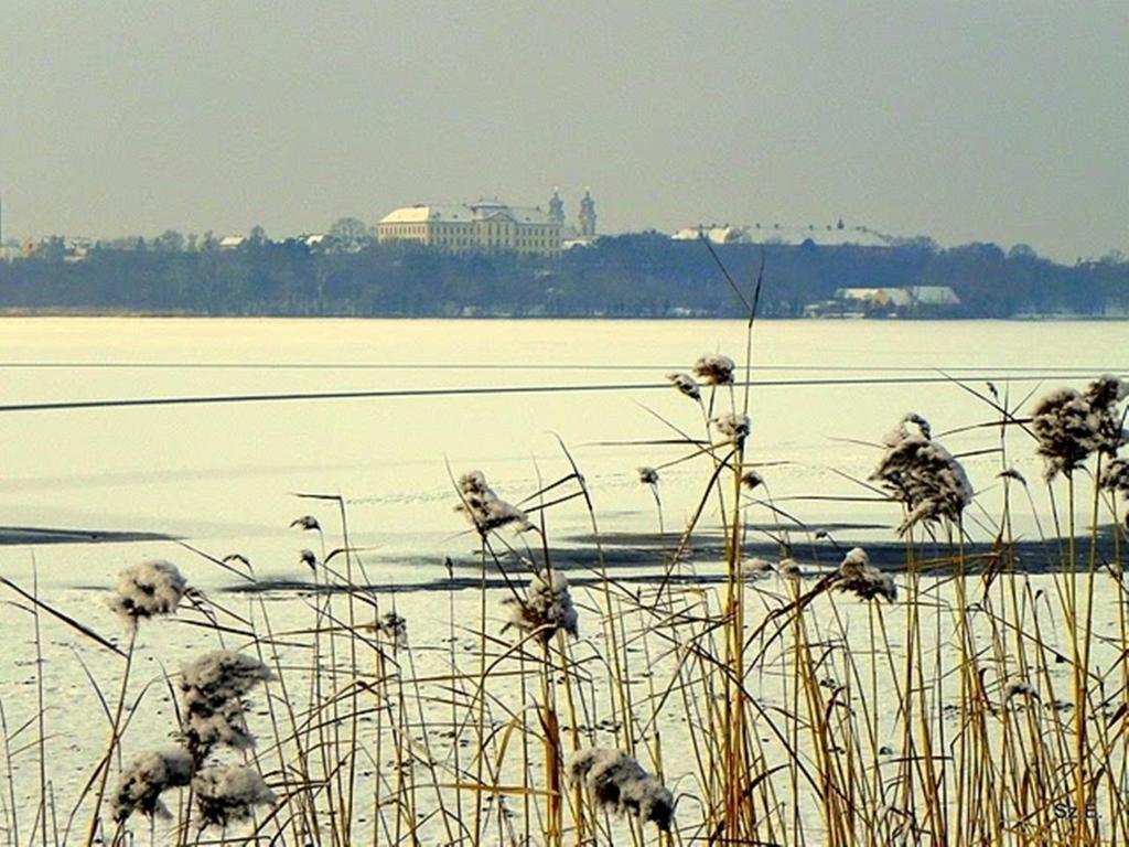 Monika Panzio Hotel Tata Buitenkant foto